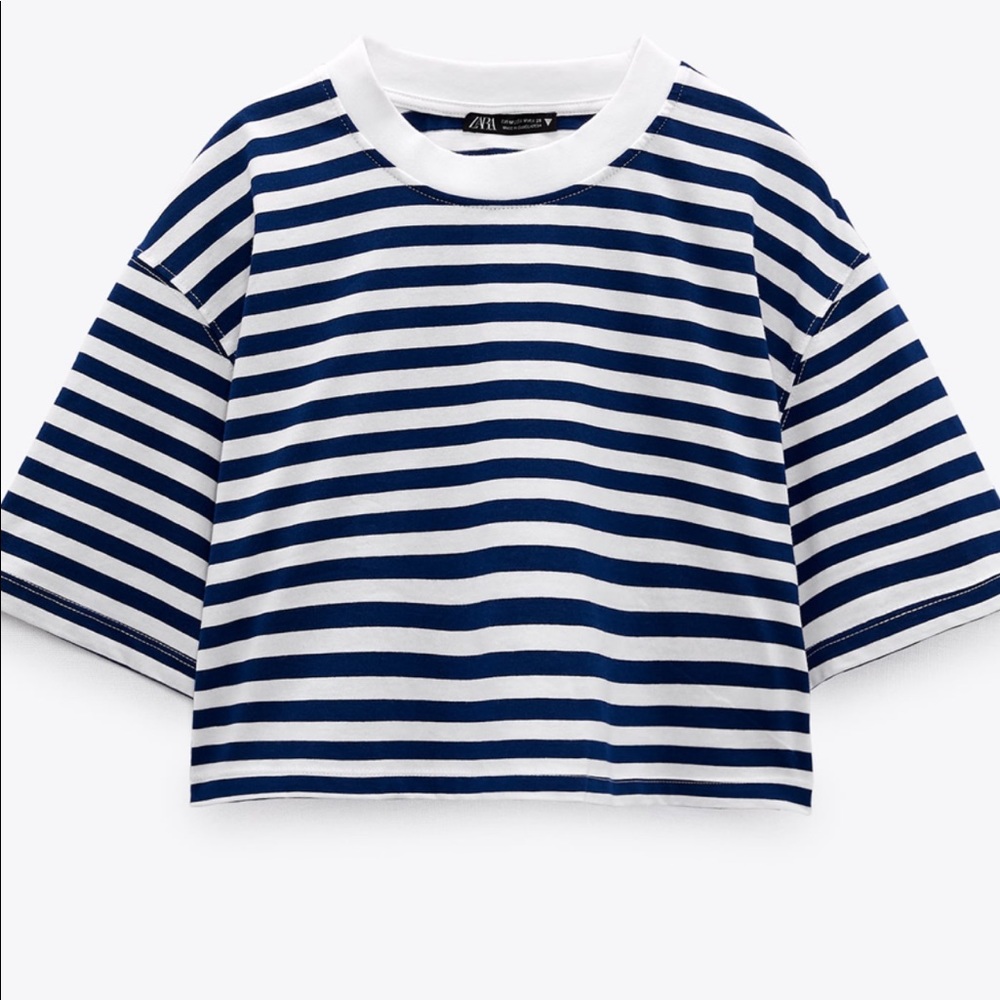 Zara Blue and White Crop Top